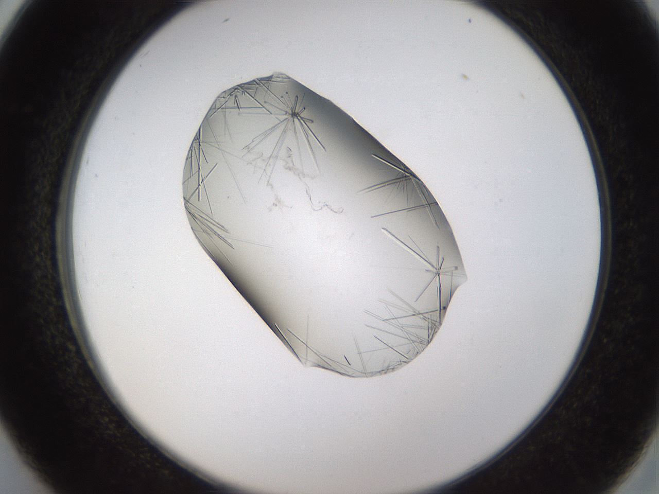 folderID635_plateID2635_batchID13214_wellNum26_profileID1_d2_r210589_ef.jpg
