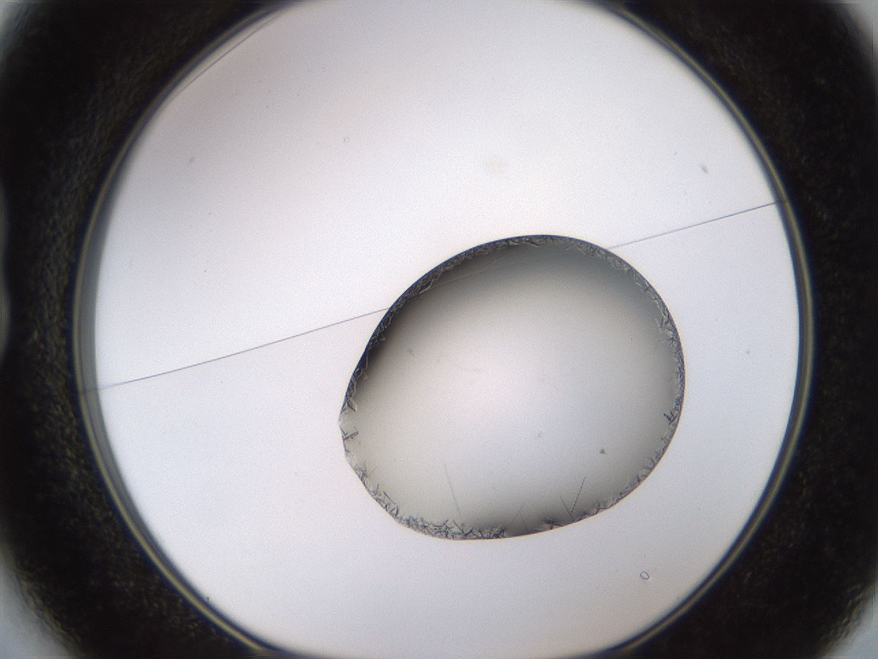 folderID648_plateID2648_batchID13239_wellNum13_profileID1_d1_r210754_ef.jpg
