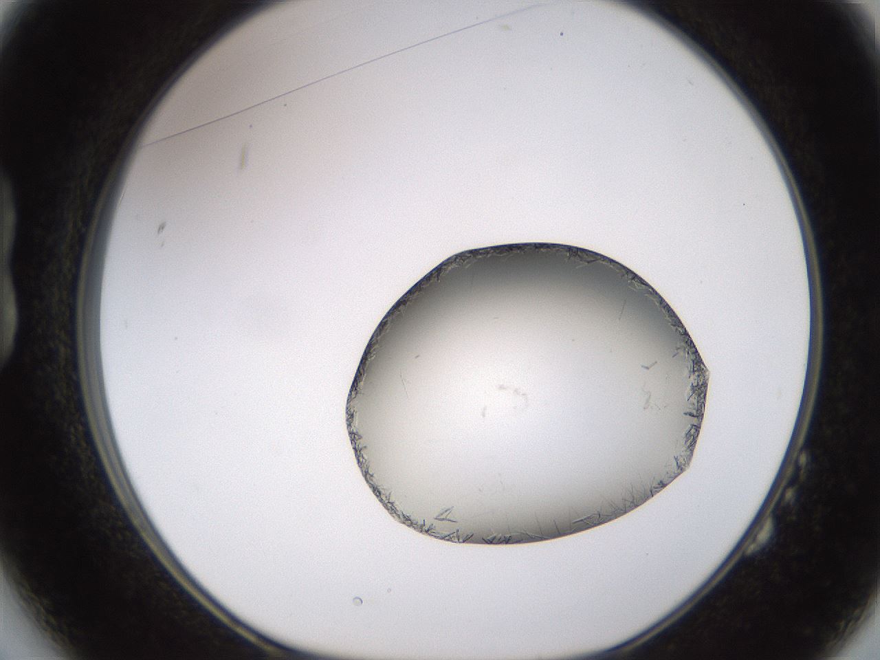 folderID648_plateID2648_batchID13239_wellNum14_profileID1_d1_r210756_ef.jpg