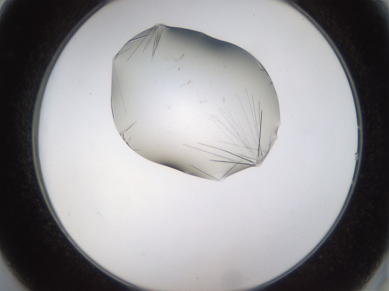 folderID635_plateID2635_batchID13214_wellNum14_profileID1_d2_r210565_ef.jpg