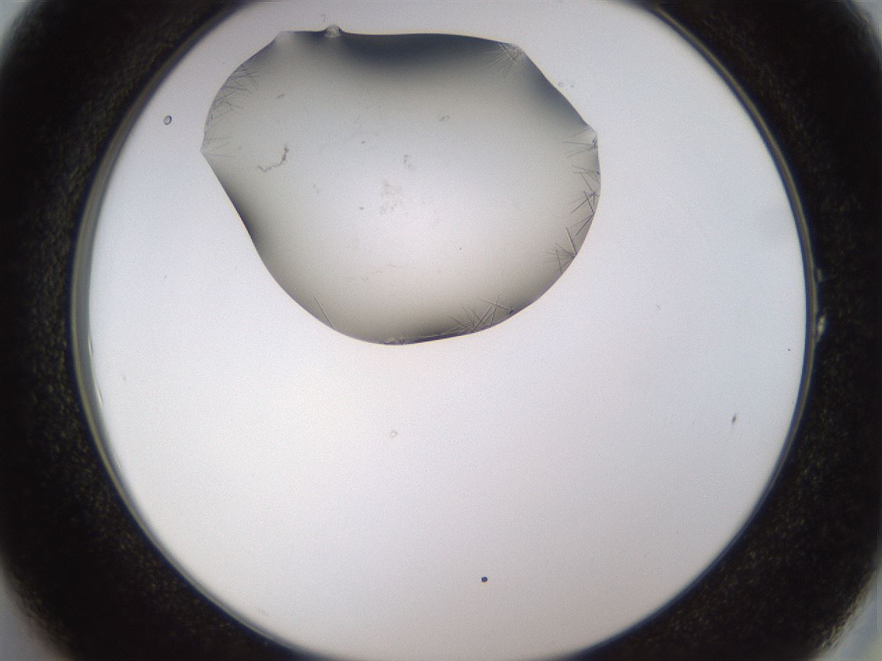 folderID648_plateID2648_batchID13239_wellNum1_profileID1_d2_r210731_ef.jpg