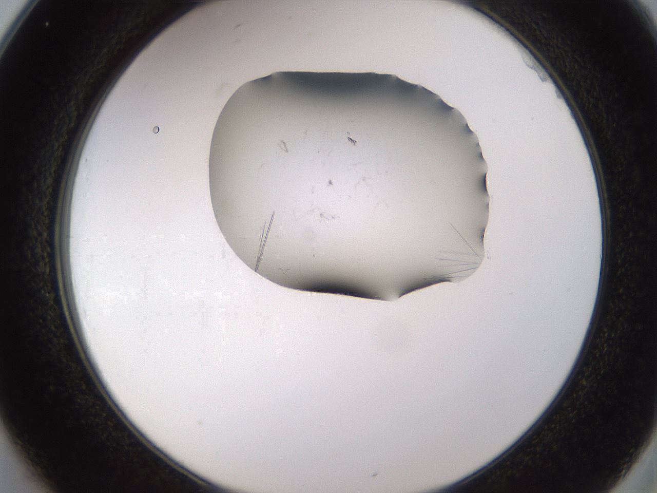 folderID648_plateID2648_batchID13239_wellNum25_profileID1_d2_r210779_ef.jpg