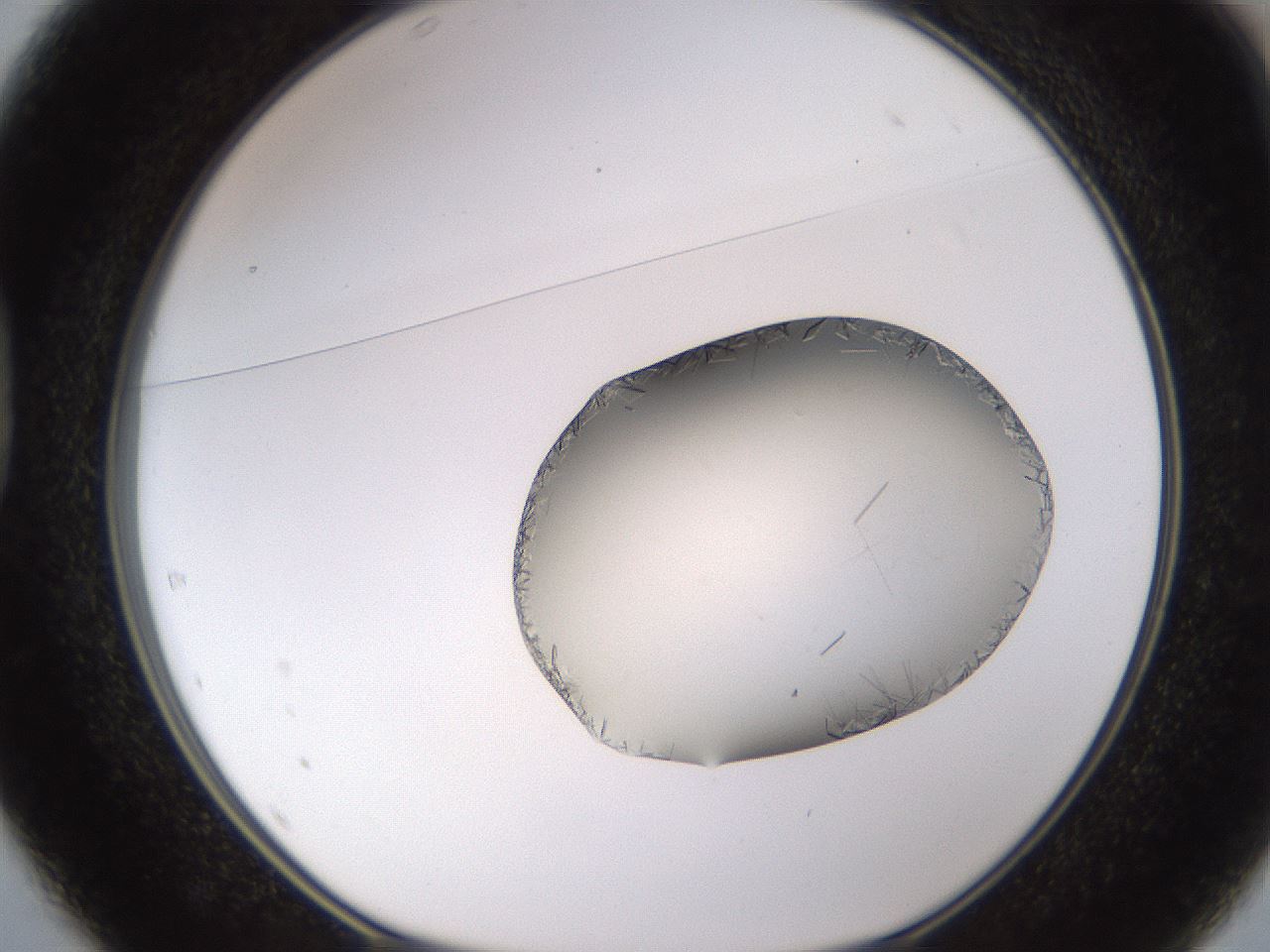 folderID648_plateID2648_batchID13239_wellNum37_profileID1_d1_r210802_ef.jpg