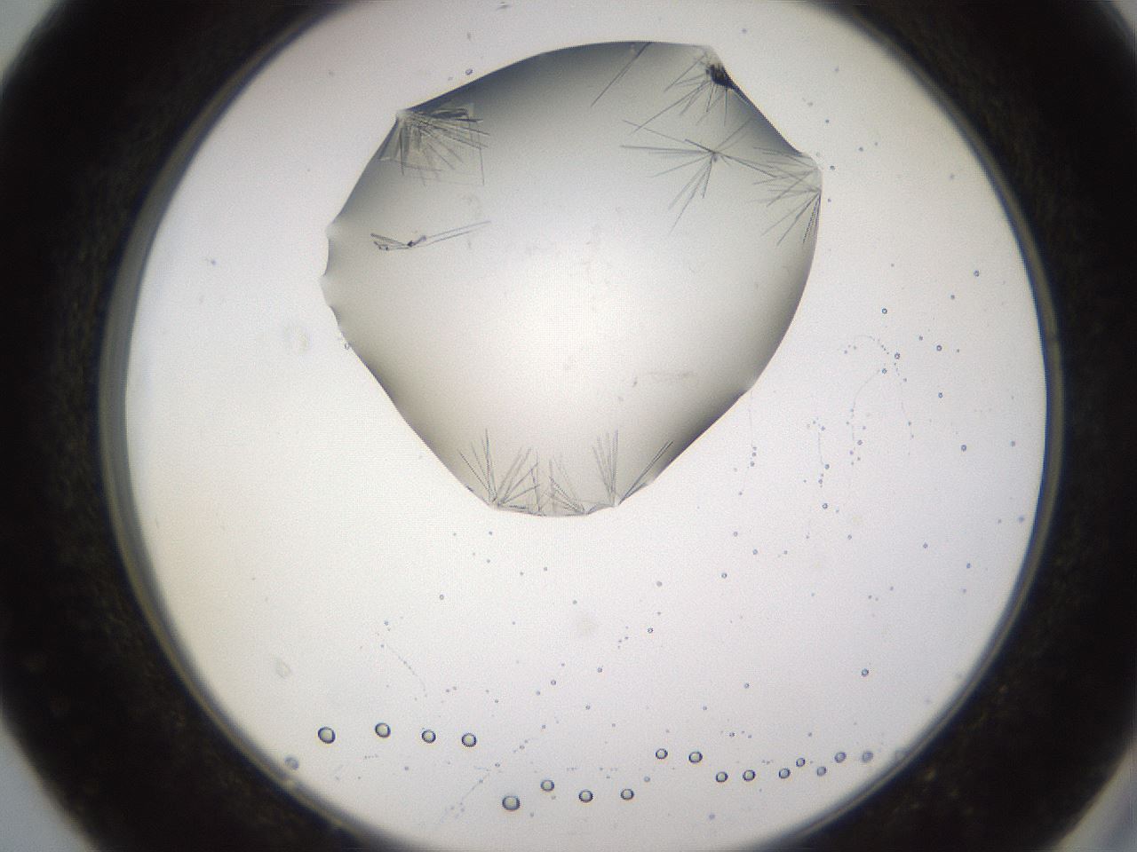 folderID648_plateID2648_batchID13239_wellNum40_profileID1_d2_r210809_ef.jpg