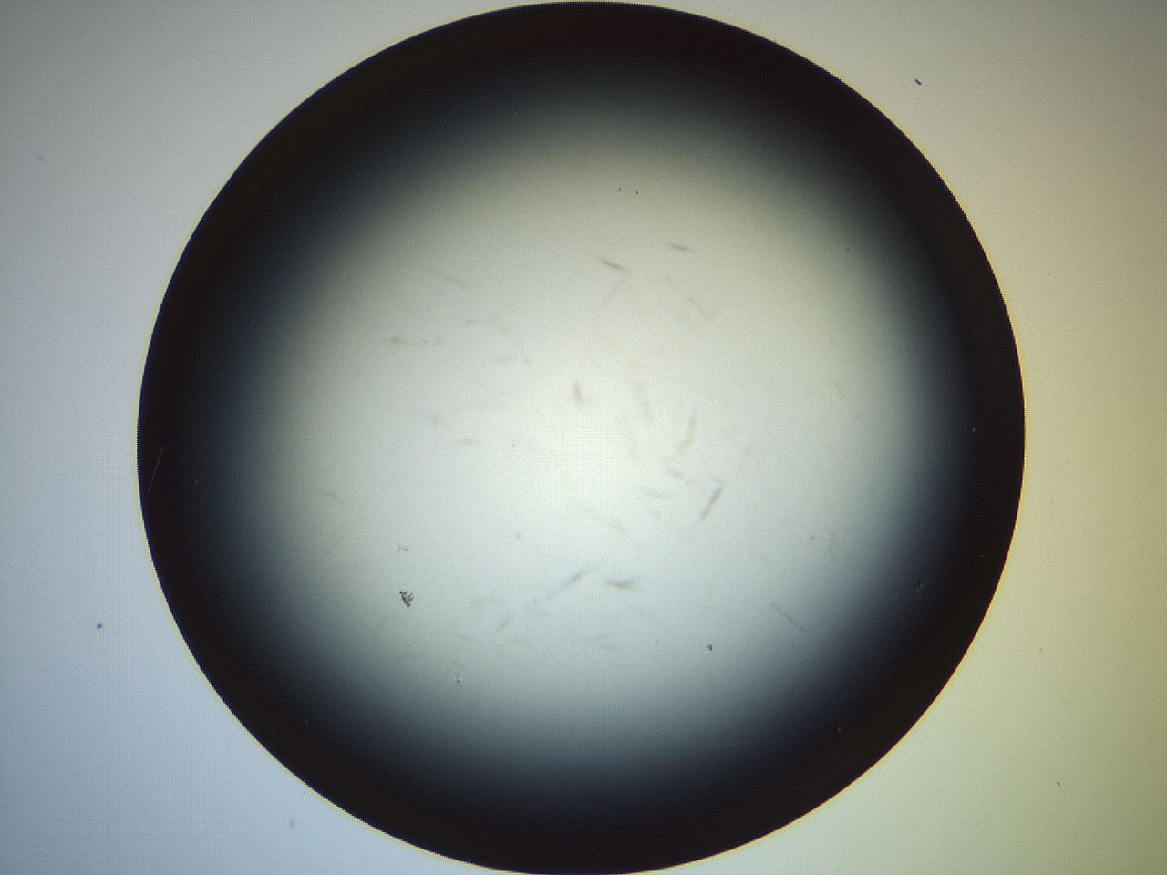 folderID664_plateID2664_batchID13643_wellNum3_profileID1_d1_r215821_ef.jpg