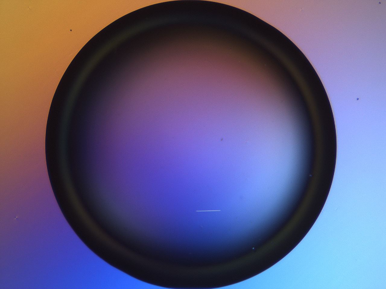 folderID665_plateID2665_batchID13642_wellNum6_profileID1_d1_r215797_ef.jpg