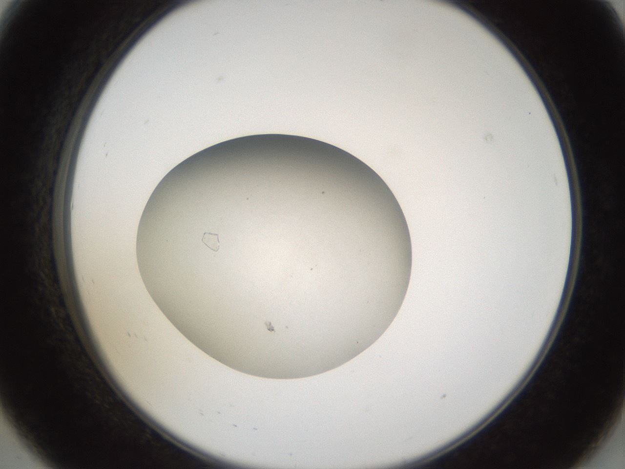folderID68_plateID1068_batchID2591_wellNum8_profileID1_d2_r54148_ef.jpg