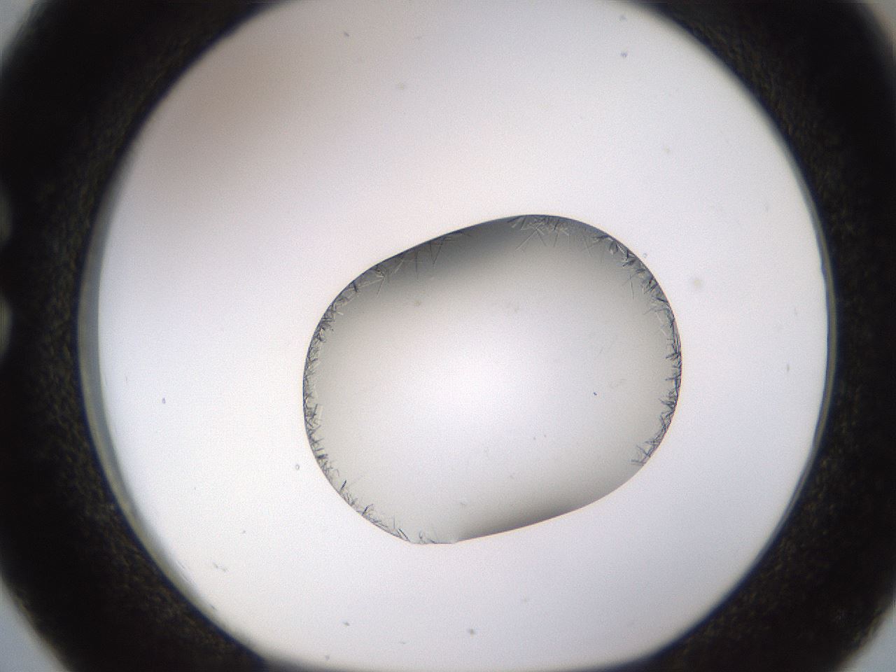 folderID648_plateID2648_batchID13239_wellNum26_profileID1_d1_r210780_ef.jpg