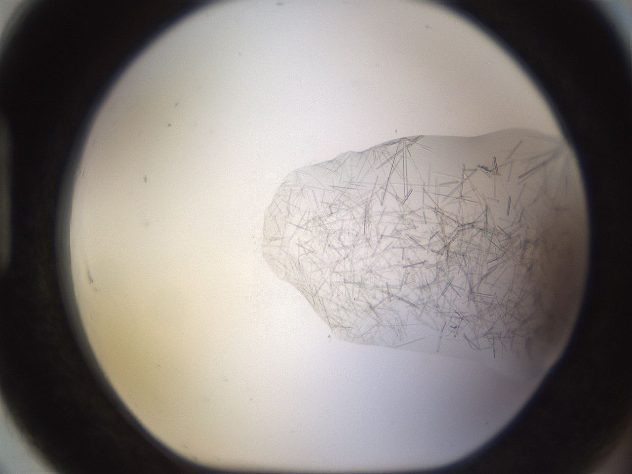 folderID894_plateID2894_batchID15879_wellNum91_profileID1_d1_r242634_ef.jpg