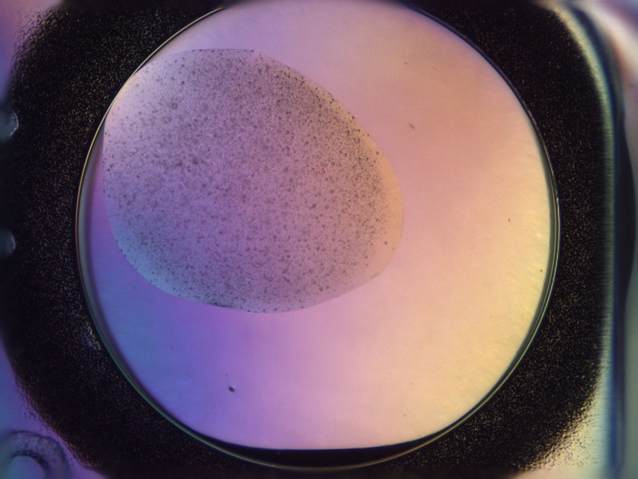 046u_E10_ImagerDefaults_6.jpg