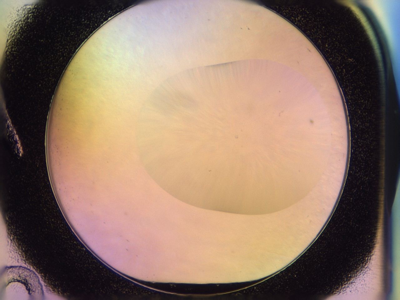 046u_A10_ImagerDefaults_0.jpg