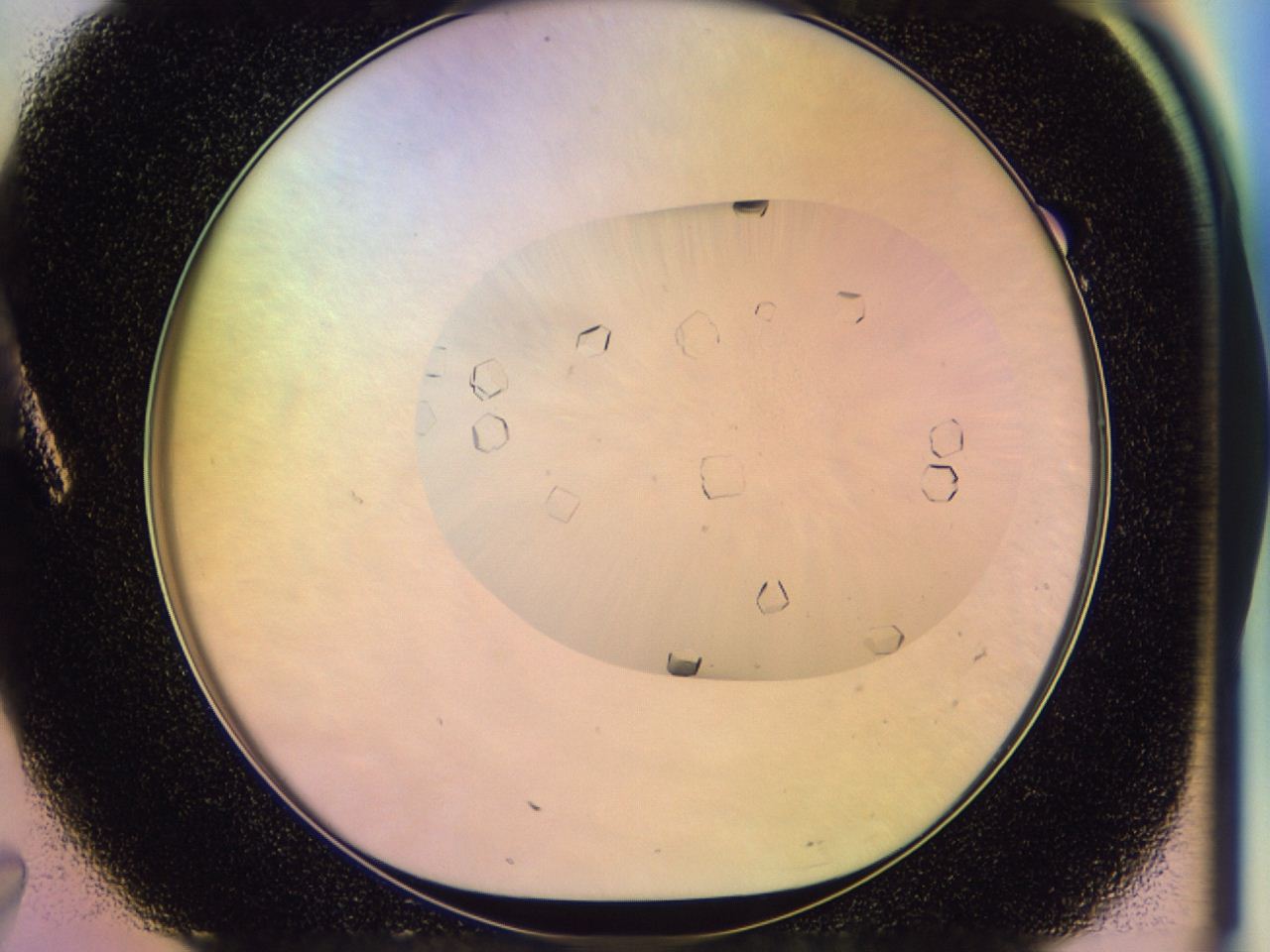 046u_A7_ImagerDefaults_9.jpg