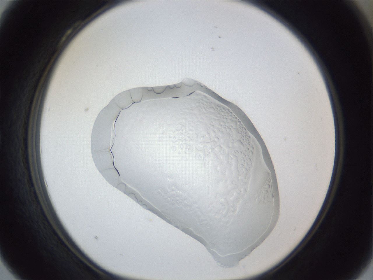 folderID87_plateID1087_batchID2503_wellNum28_profileID1_d1_r51307_ef.jpg