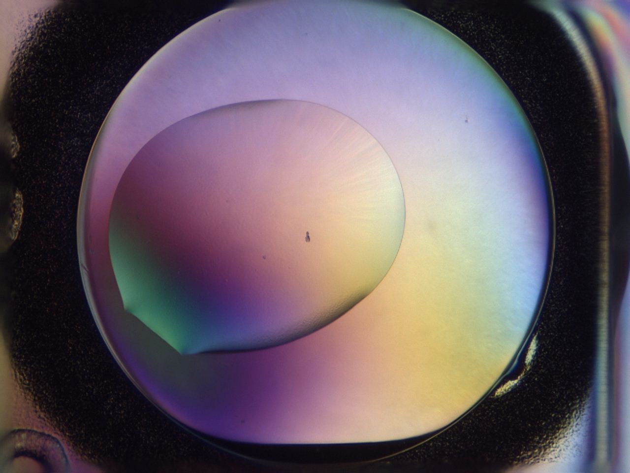 046u_G10_ImagerDefaults_0.jpg