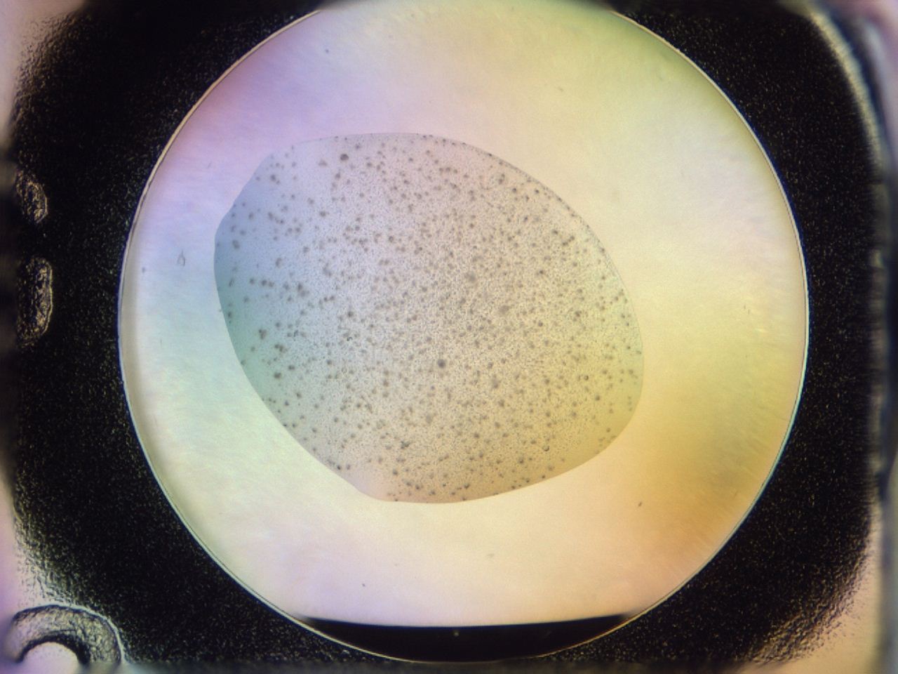 046u_G12_ImagerDefaults_6.jpg