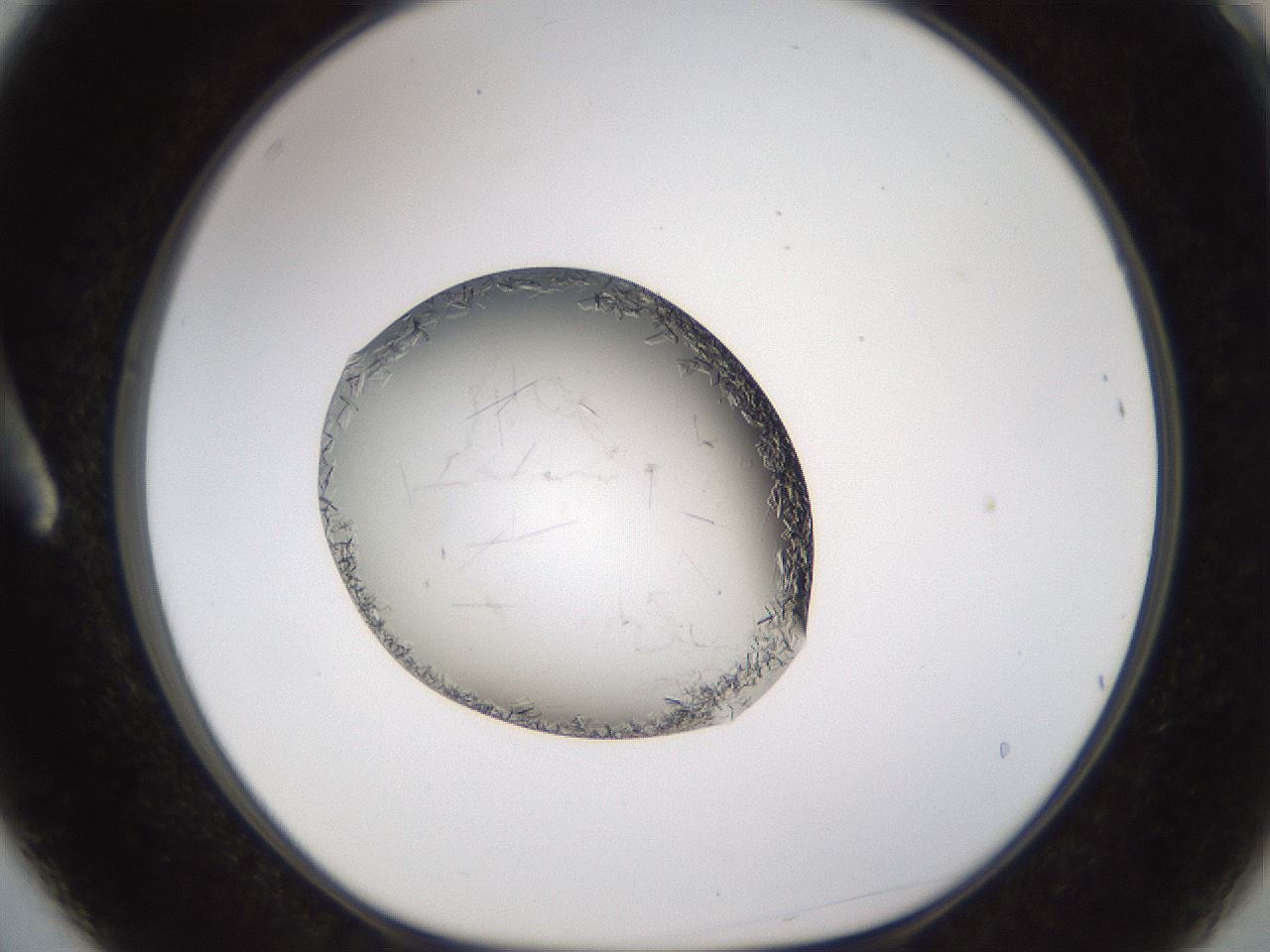 folderID648_plateID2648_batchID13239_wellNum3_profileID1_d1_r210734_ef.jpg