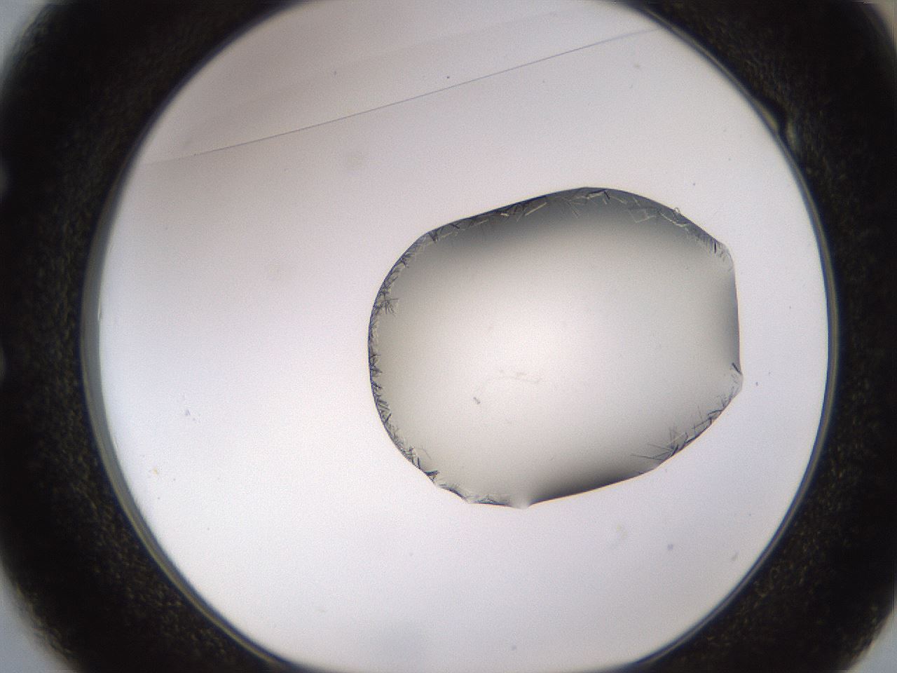 folderID648_plateID2648_batchID13239_wellNum49_profileID1_d1_r210826_ef.jpg