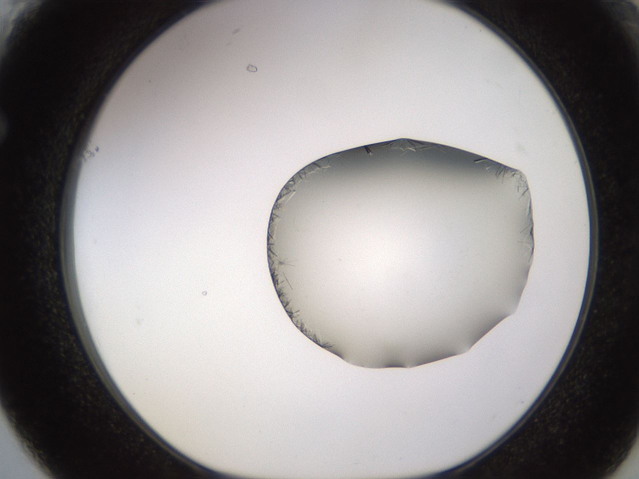 folderID648_plateID2648_batchID13239_wellNum61_profileID1_d1_r210850_ef.jpg