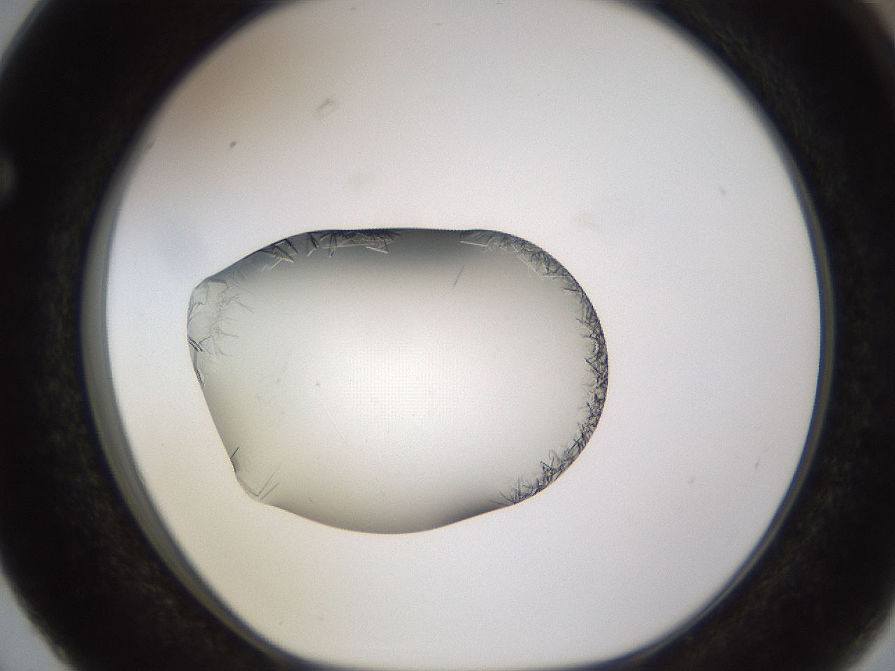 folderID648_plateID2648_batchID13239_wellNum63_profileID1_d1_r210854_ef.jpg