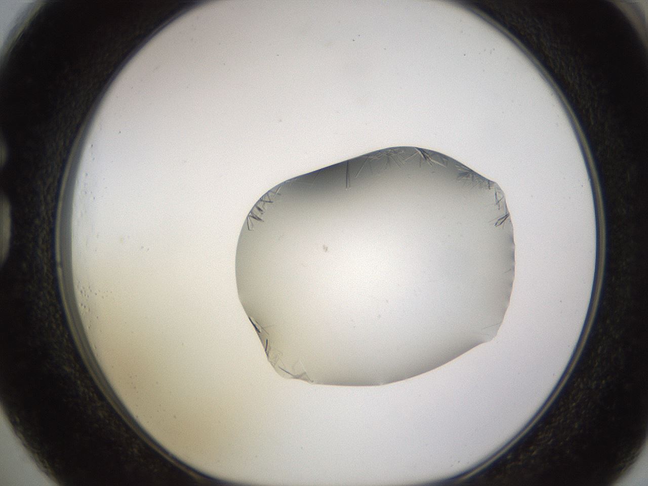 folderID648_plateID2648_batchID13239_wellNum73_profileID1_d1_r210874_ef.jpg