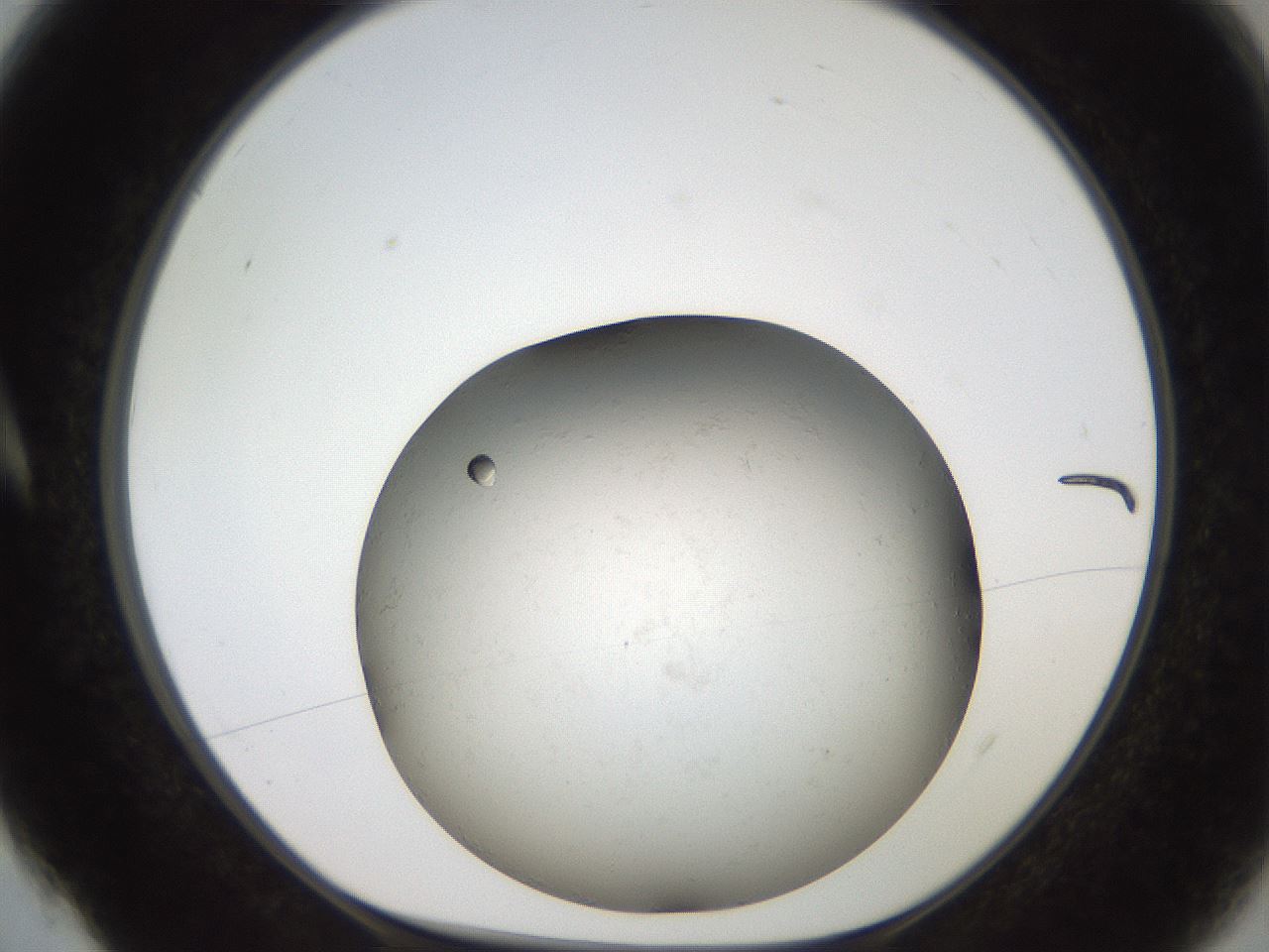 folderID735_plateID1735_batchID7287_wellNum4_profileID1_d1_r115590_ef.jpg