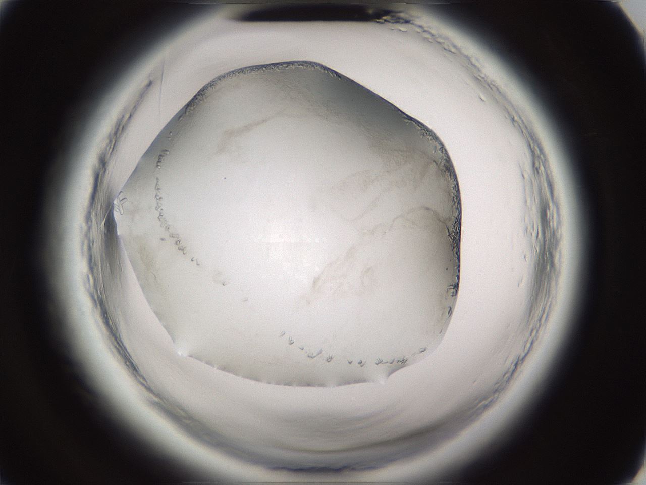 folderID661_plateID1661_batchID6958_wellNum26_profileID1_d3_r110479_ef.jpg