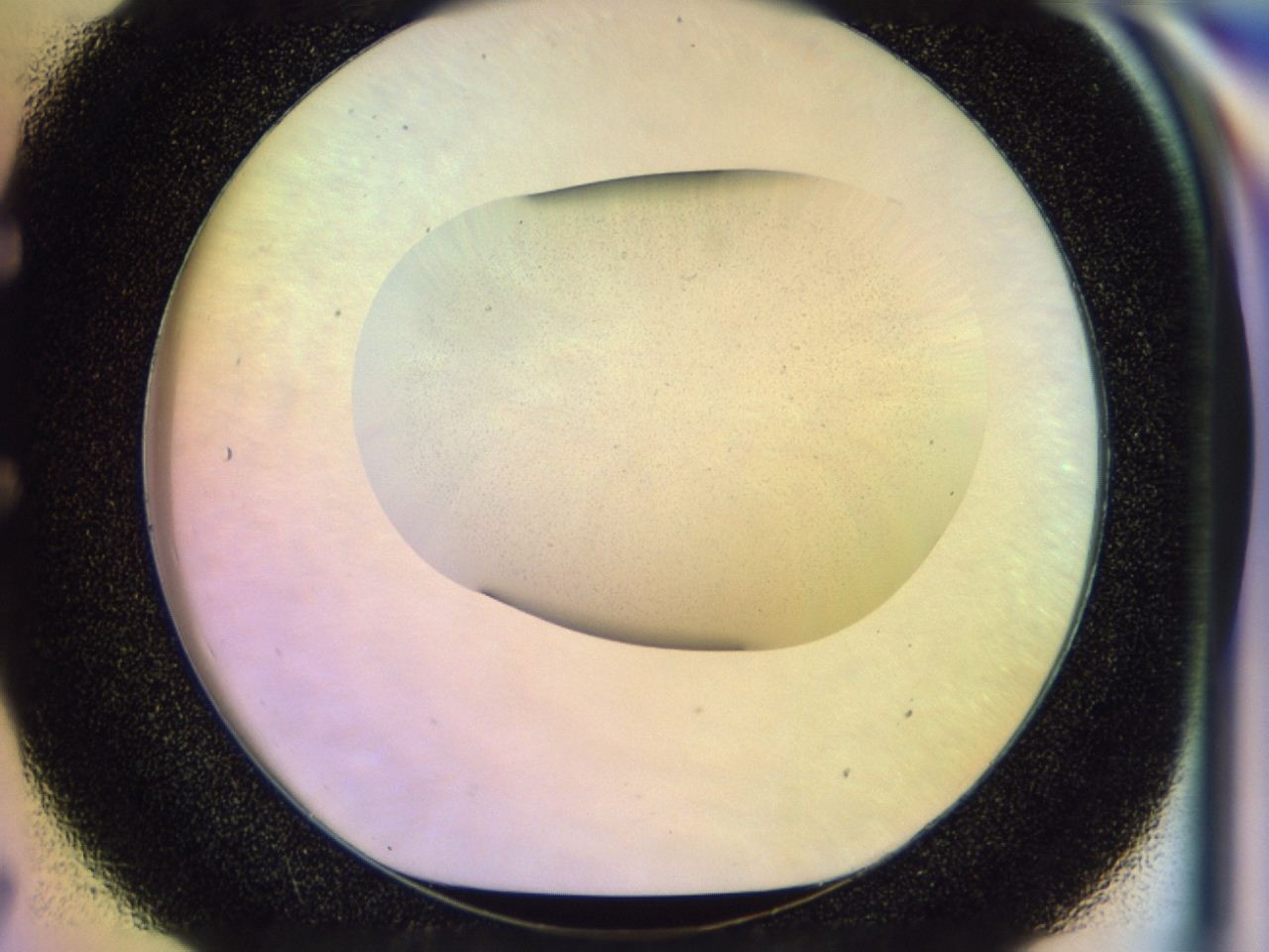 046v_E7_ImagerDefaults_0.jpg