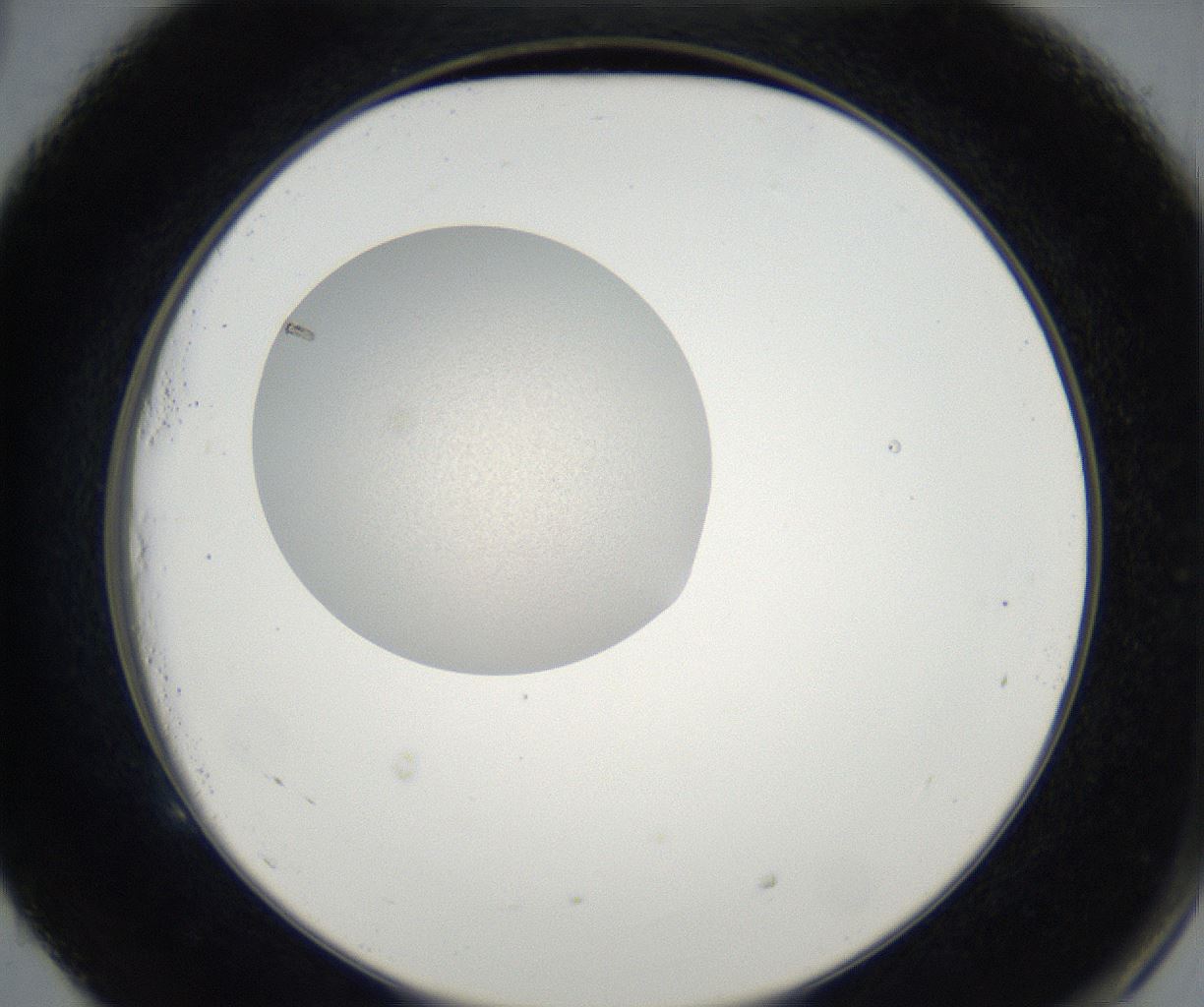 folderID67_plateID2067_batchID9495_wellNum53_profileID1_d2_r141655_ef.jpg