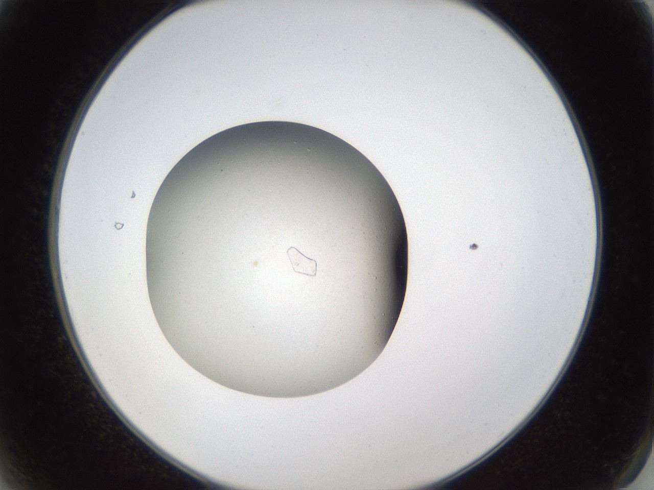 folderID68_plateID1068_batchID2591_wellNum2_profileID1_d2_r54136_ef.jpg