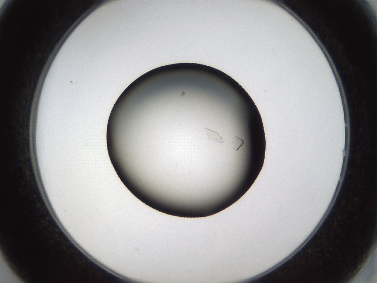 folderID68_plateID1068_batchID2591_wellNum14_profileID1_d2_r54160_ef.jpg
