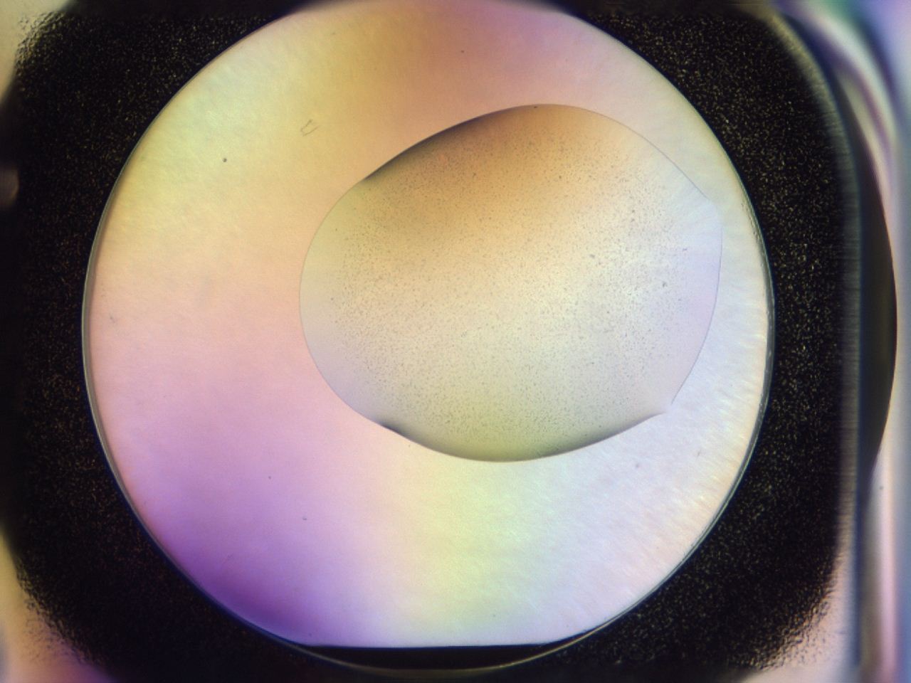046v_F3_ImagerDefaults_0.jpg