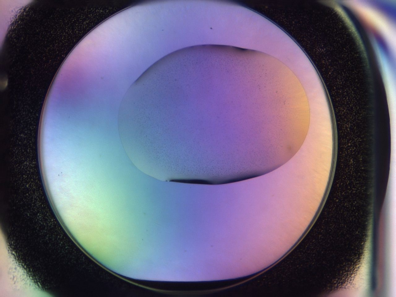 046v_F5_ImagerDefaults_0.jpg