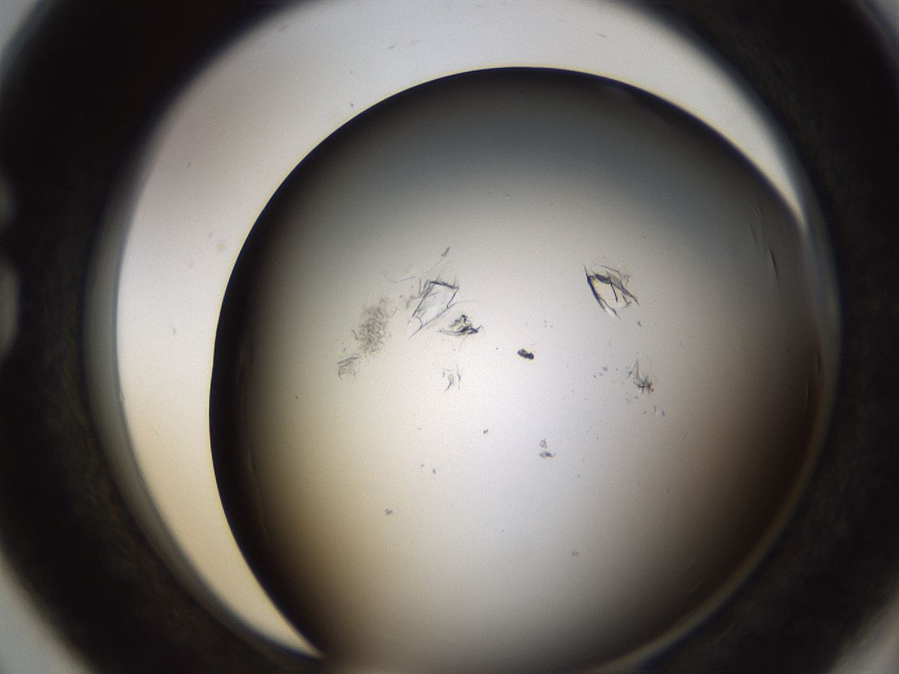 folderID753_plateID1753_batchID7493_wellNum80_profileID1_d1_r117229_ef.jpg