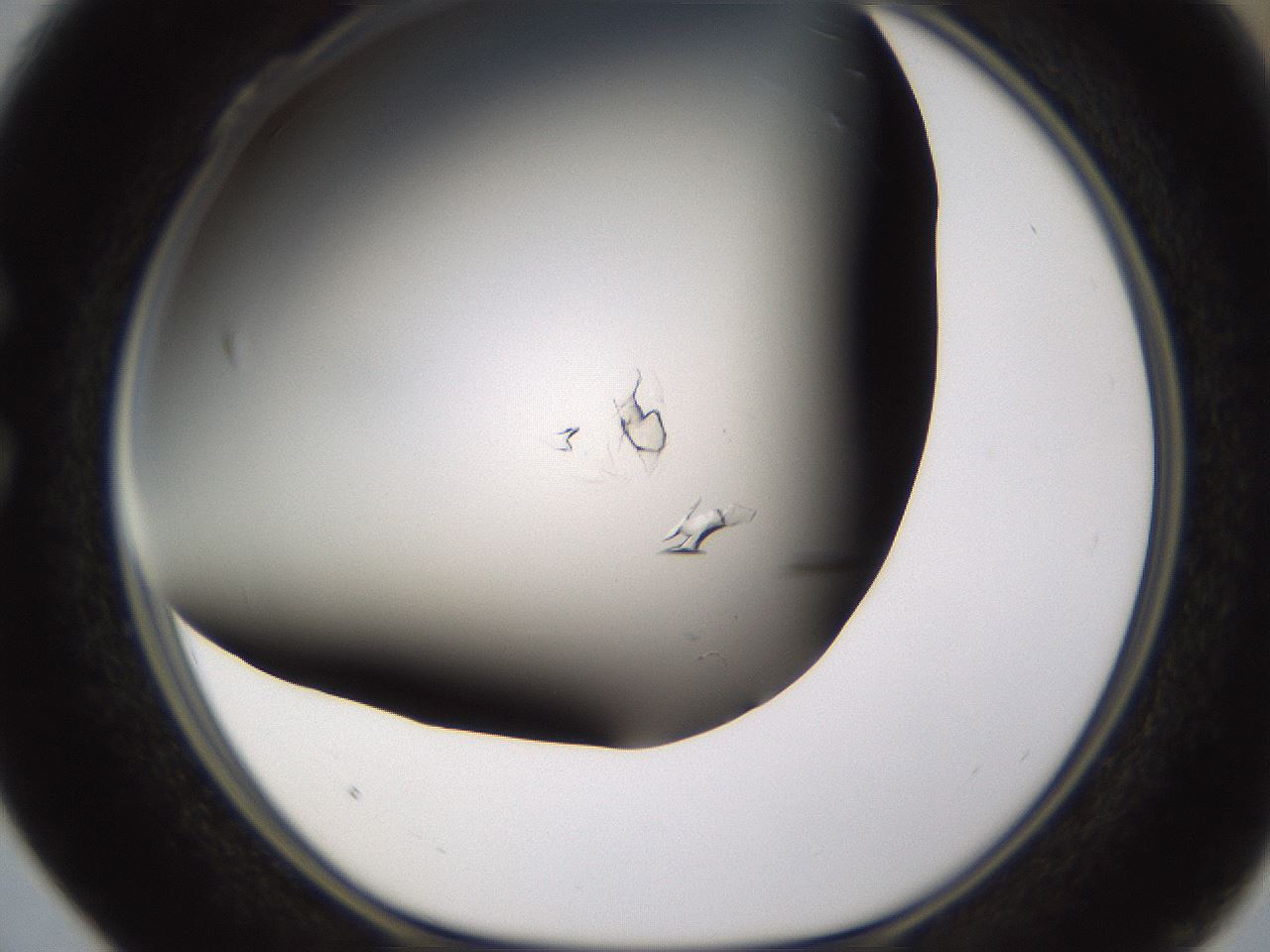 folderID755_plateID1755_batchID7495_wellNum28_profileID1_d1_r117369_ef.jpg