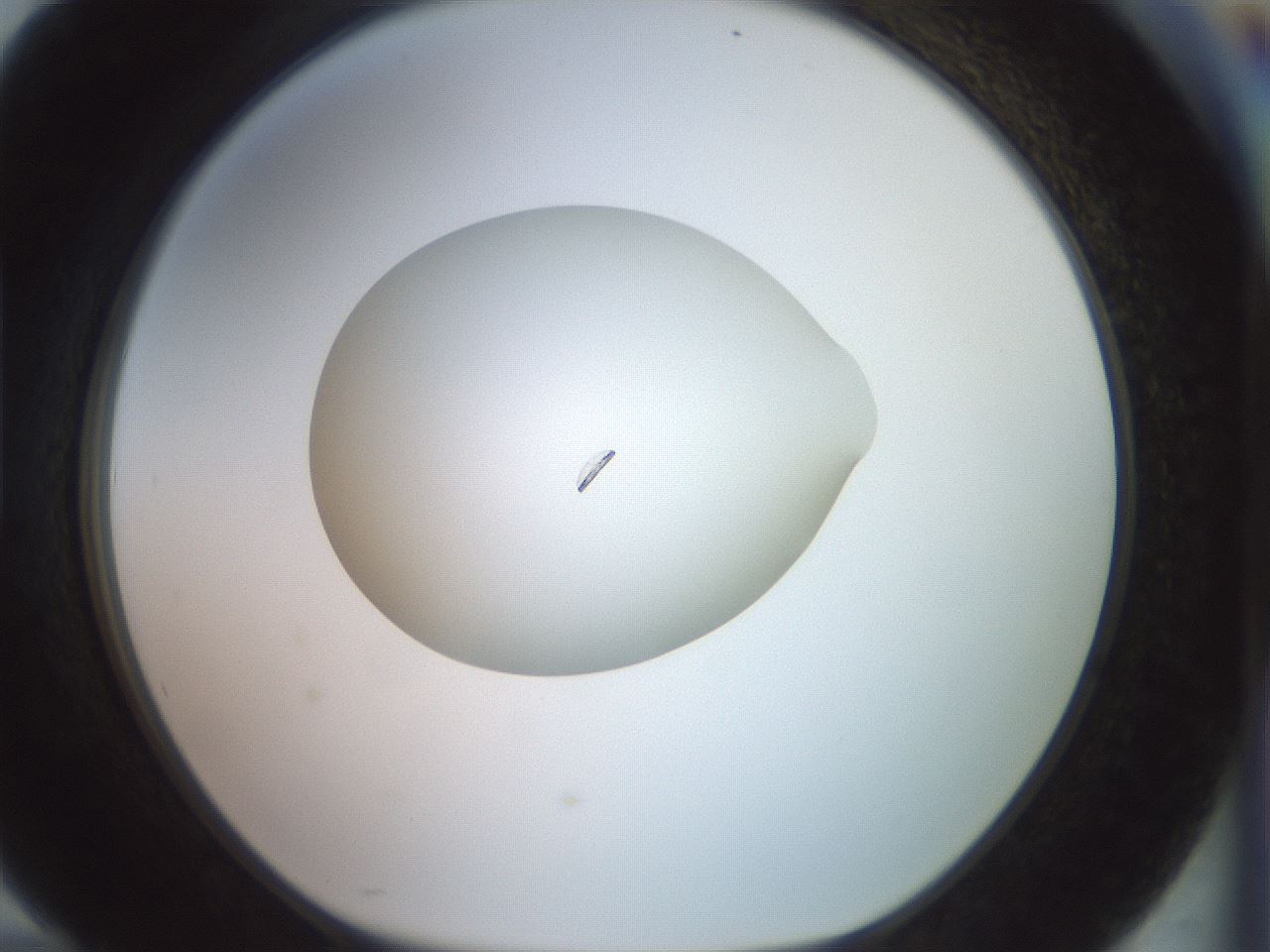 folderID855_plateID1855_batchID7906_wellNum94_profileID1_d1_r124696_ef.jpg