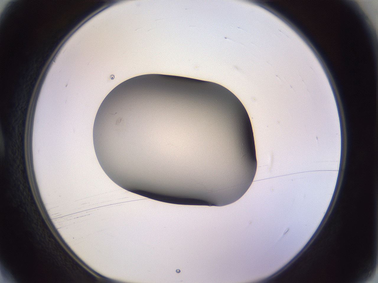 folderID104_plateID3104_batchID17138_wellNum4_profileID1_d1_r262383_ef.jpg