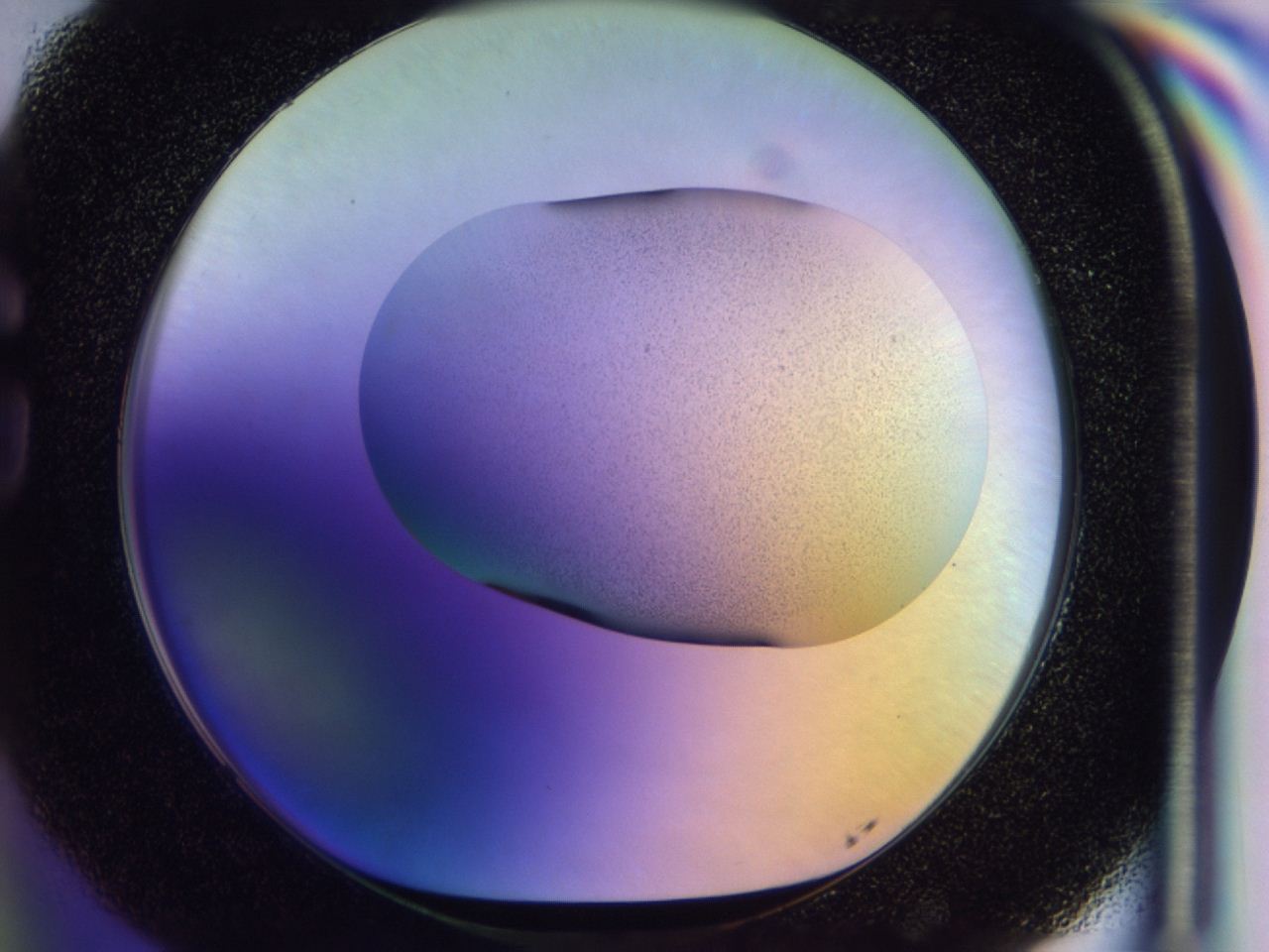046v_G5_ImagerDefaults_0.jpg