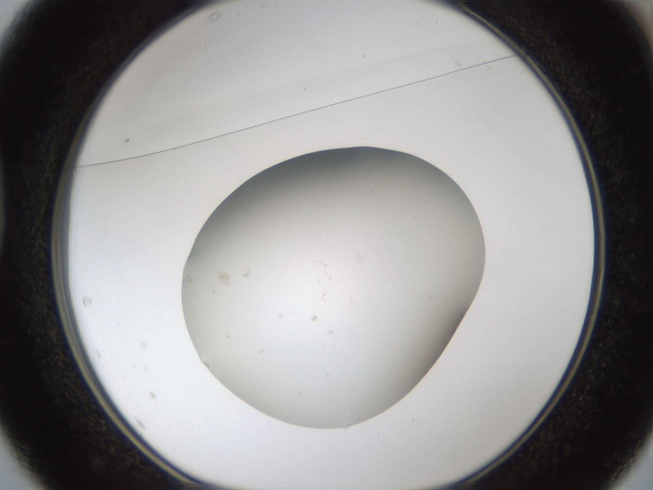 folderID111_plateID1111_batchID2604_wellNum37_profileID1_d1_r57146_ef.jpg