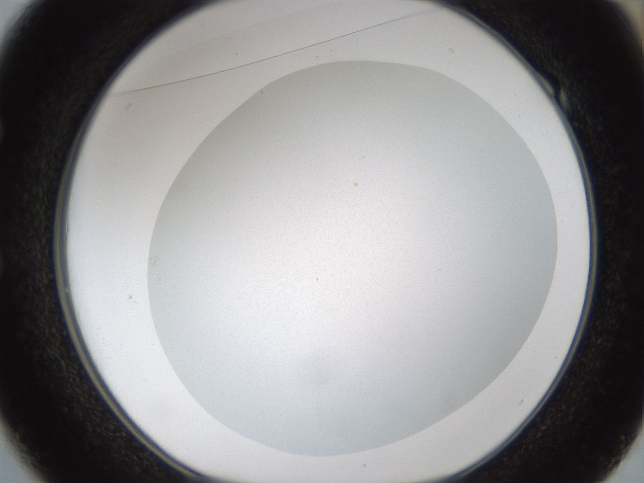folderID111_plateID1111_batchID2693_wellNum49_profileID1_d1_r57158_ef.jpg