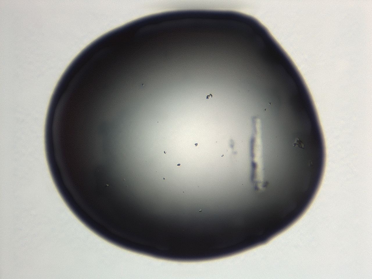 046w_F1_ImagerDefaults_0.jpg