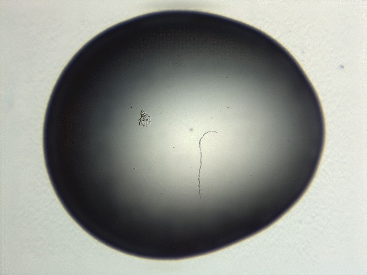 046w_F2_ImagerDefaults_0.jpg