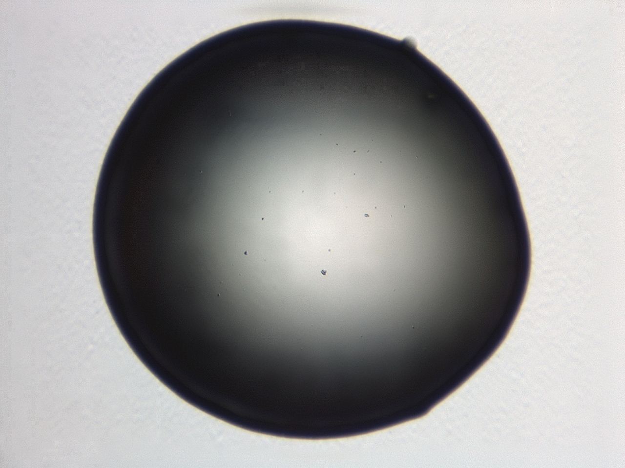 046w_F4_ImagerDefaults_0.jpg