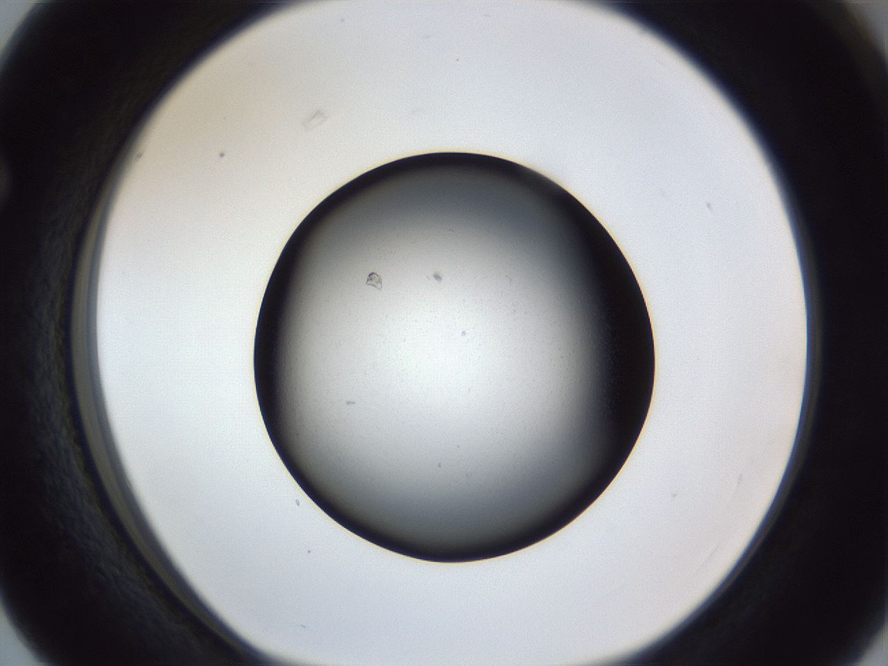 folderID119_plateID1119_batchID2603_wellNum63_profileID1_d1_r56596_ef.jpg