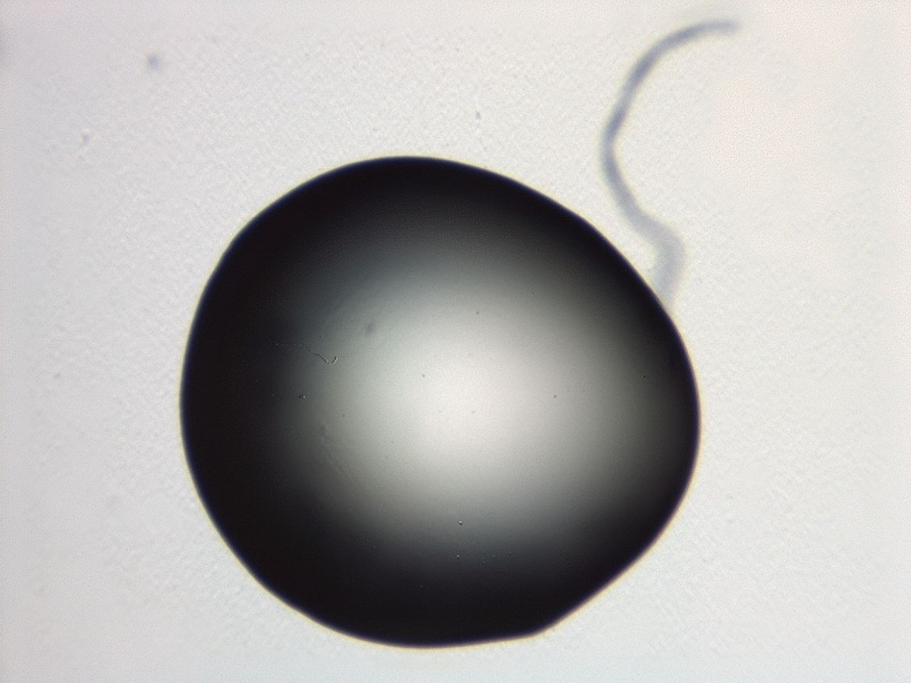 046w_F5_ImagerDefaults_0.jpg