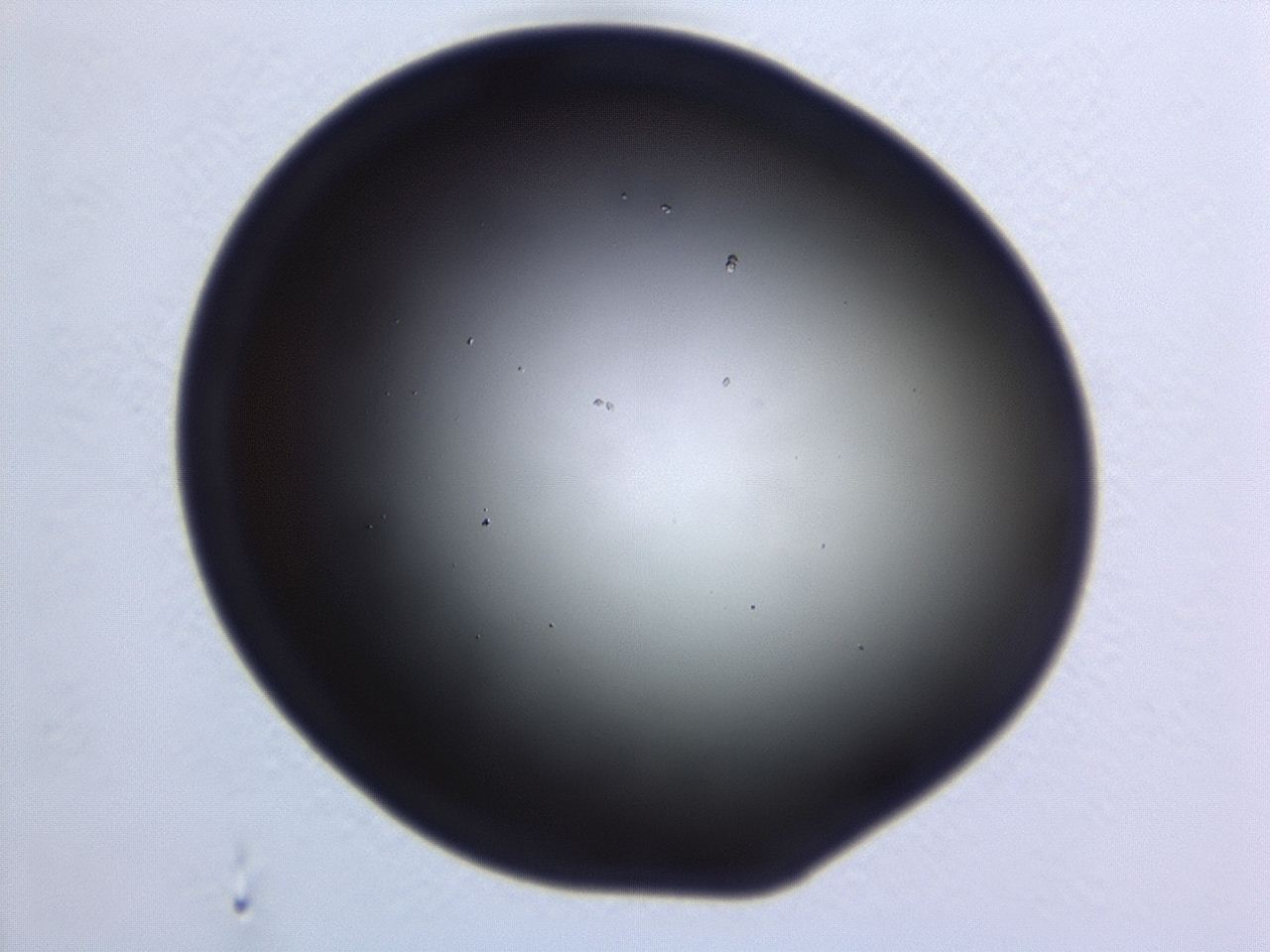 046w_E2_ImagerDefaults_0.jpg