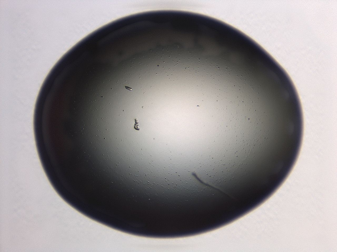 046w_F11_ImagerDefaults_0.jpg