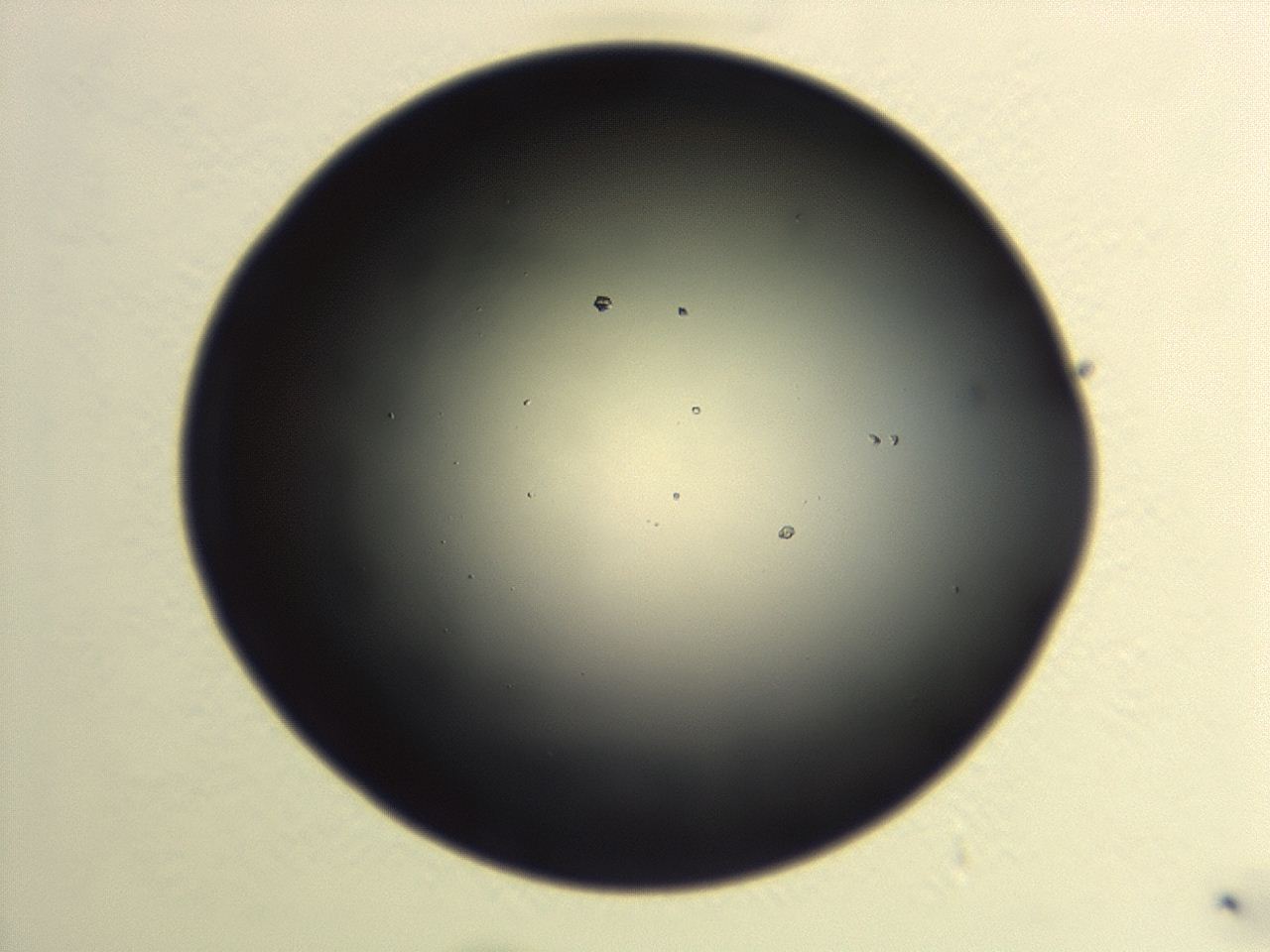 046w_G2_ImagerDefaults_0.jpg