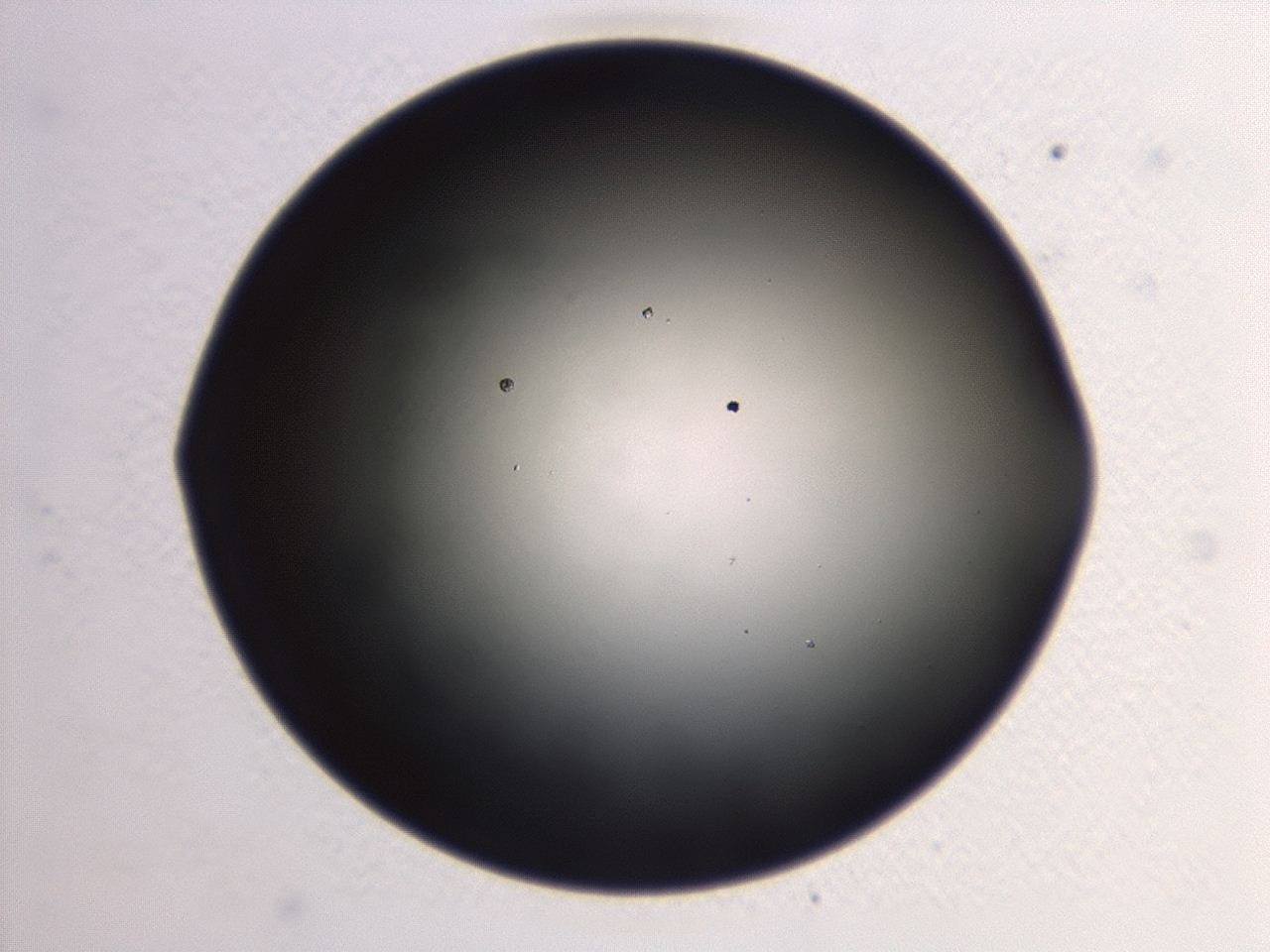 046w_G3_ImagerDefaults_0.jpg
