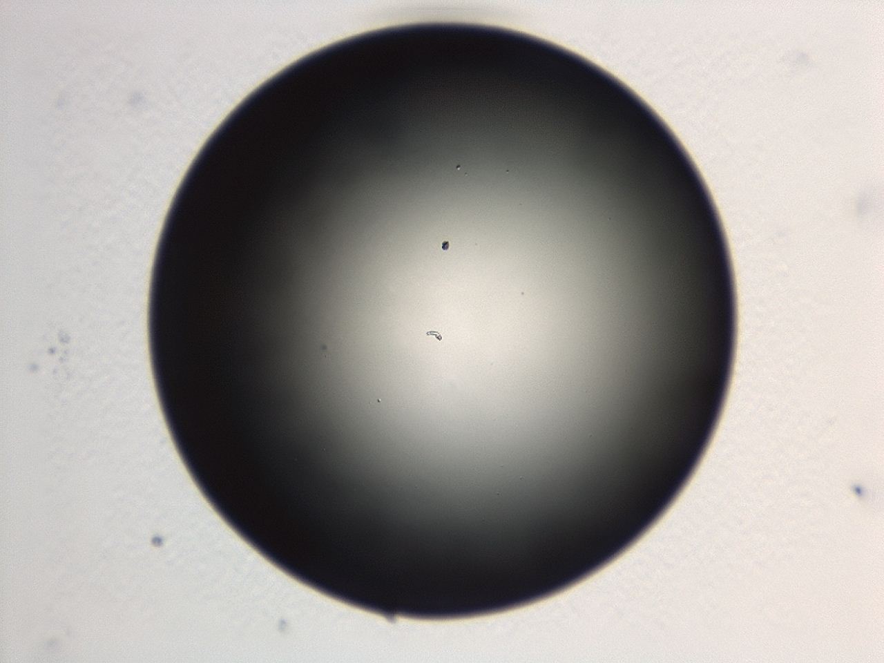 046w_G4_ImagerDefaults_0.jpg