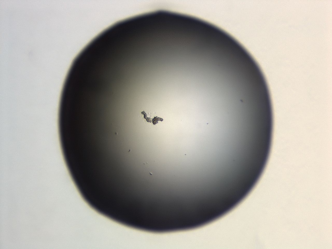046w_G12_ImagerDefaults_0.jpg